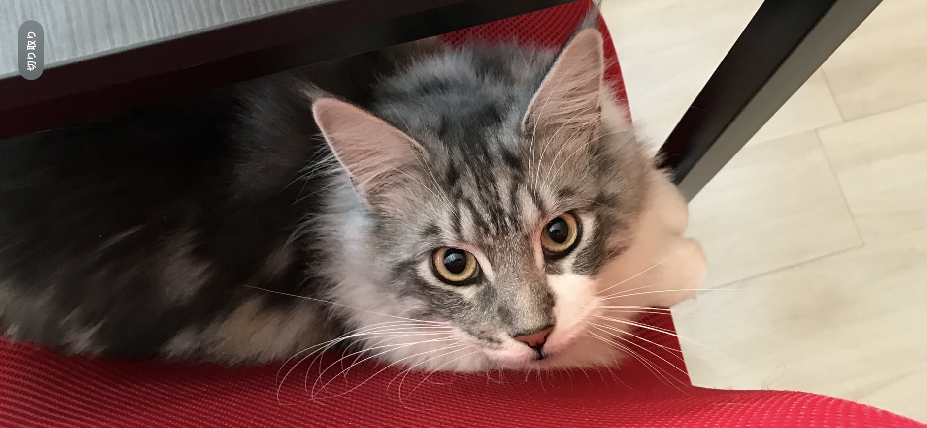 介護タクシーここふる|明石の介護タクシー